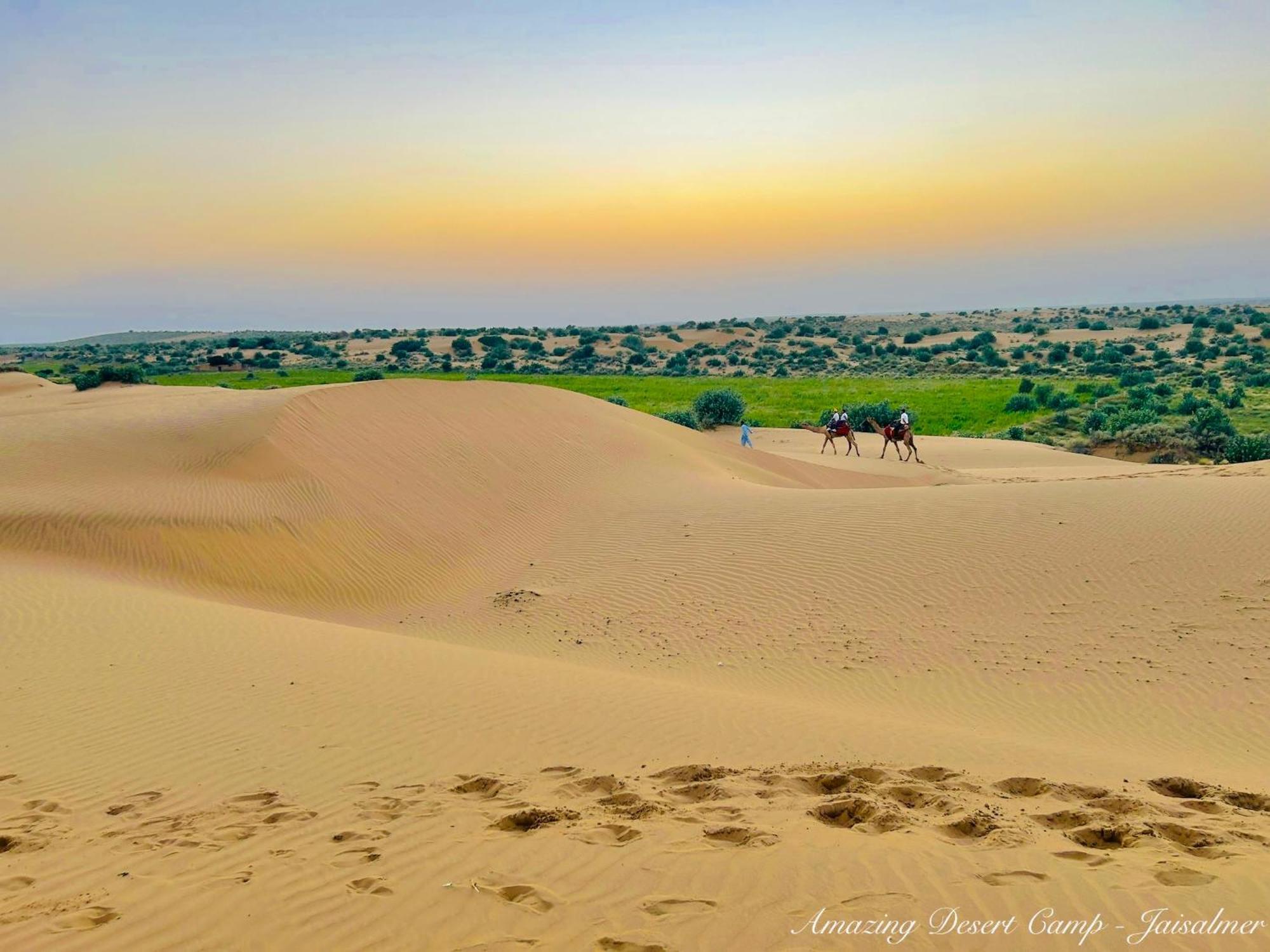 Amazing Desert Camp Jaisalmer Exterior photo